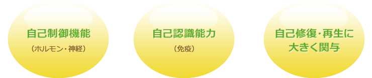 自己制御機能 自己認識能力 自己修復・再生に大きく関与