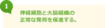 神経細胞と大脳組織の正常な発育を保進する。